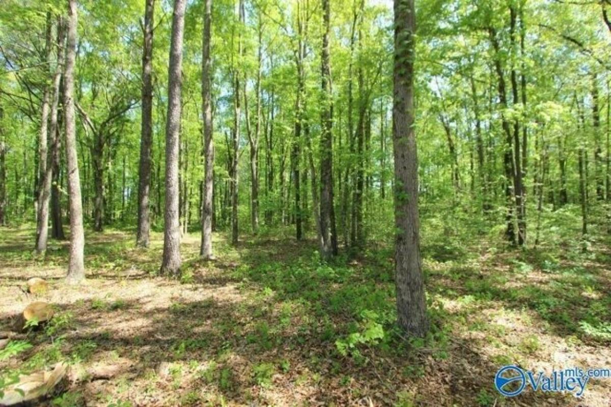 Picture of Residential Land For Sale in Athens, Alabama, United States