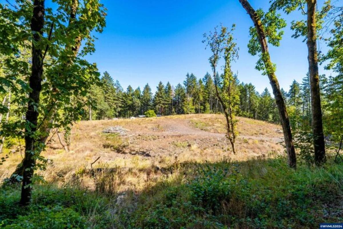 Picture of Residential Land For Sale in Corvallis, Oregon, United States