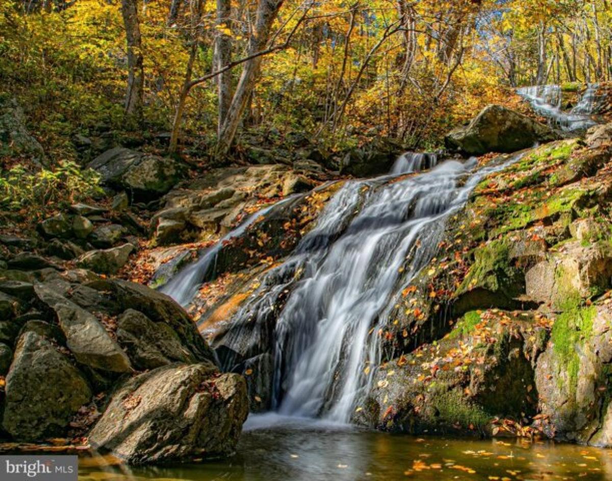 Picture of Home For Sale in Wintergreen, Virginia, United States