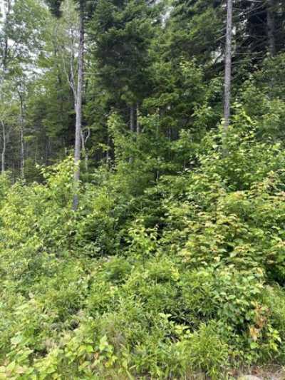 Residential Land For Sale in Steuben, Maine