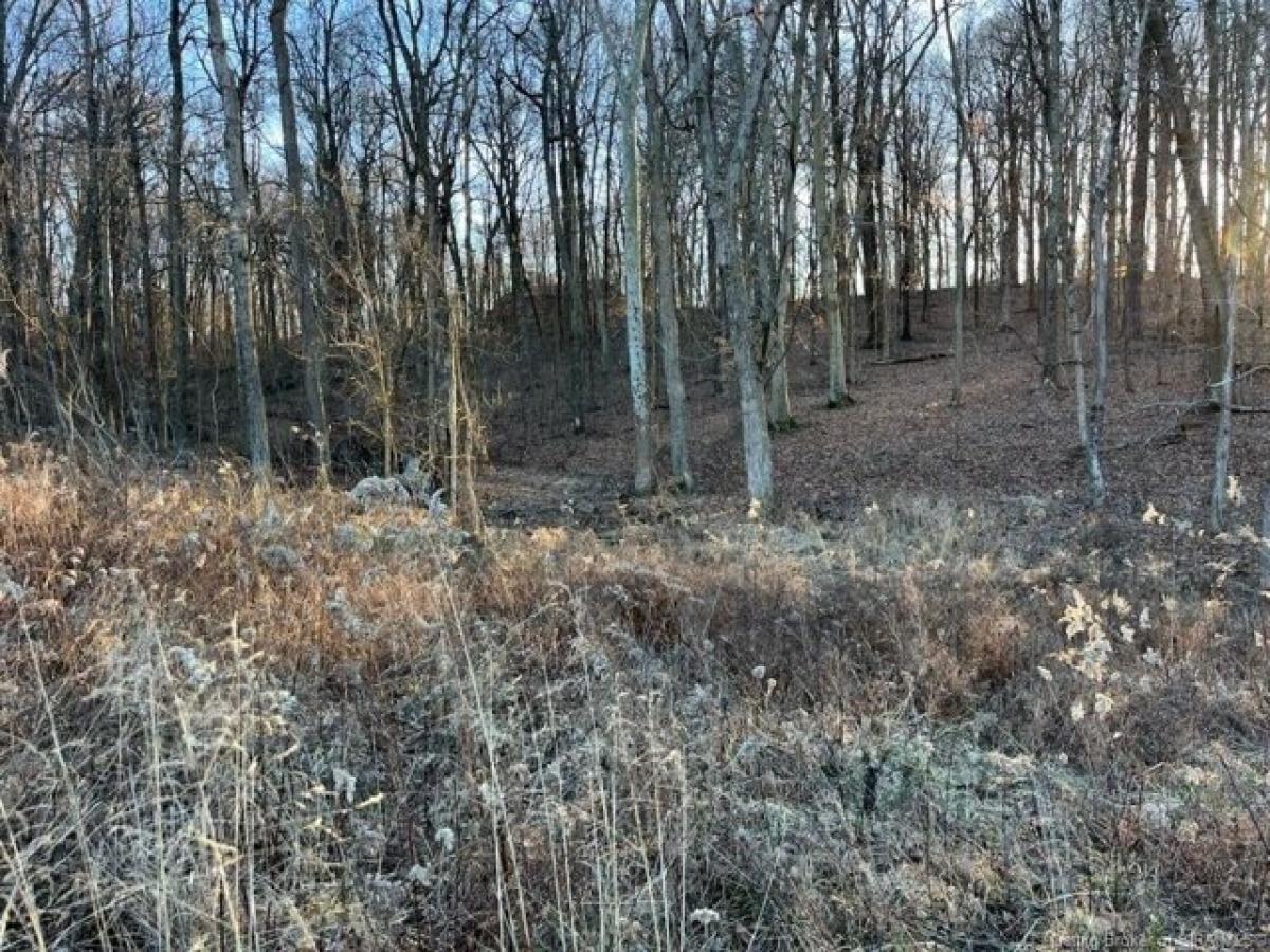 Picture of Residential Land For Sale in Georgetown, Indiana, United States