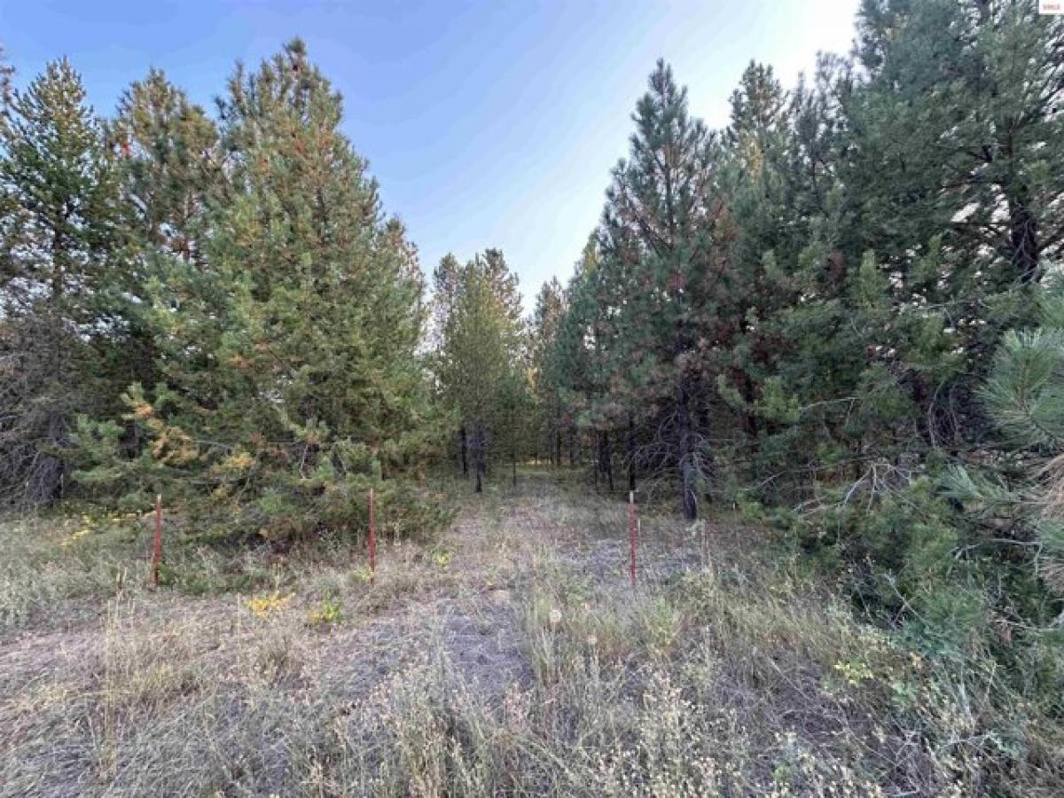 Picture of Residential Land For Sale in Blanchard, Idaho, United States