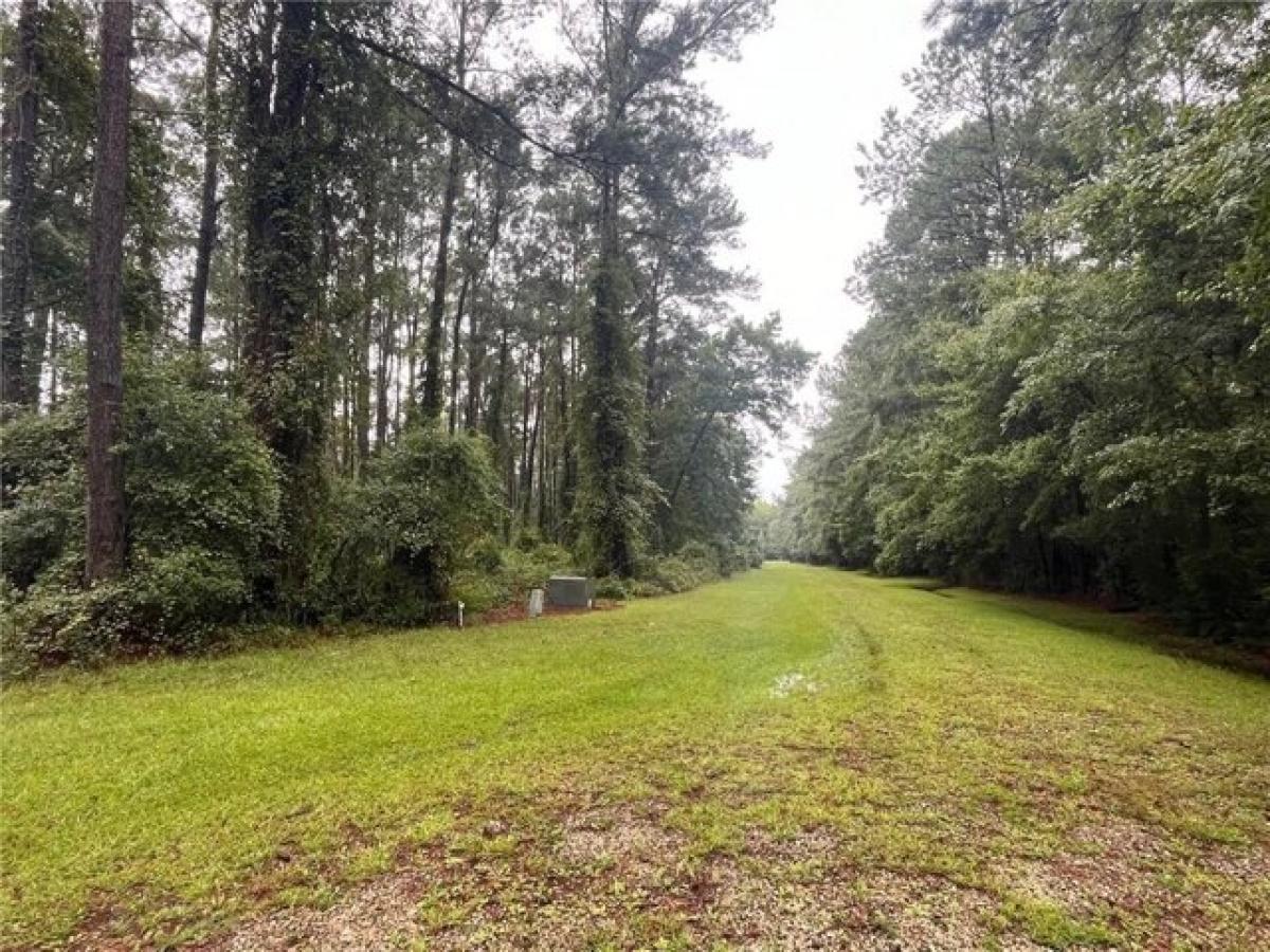 Picture of Residential Land For Sale in Darien, Georgia, United States