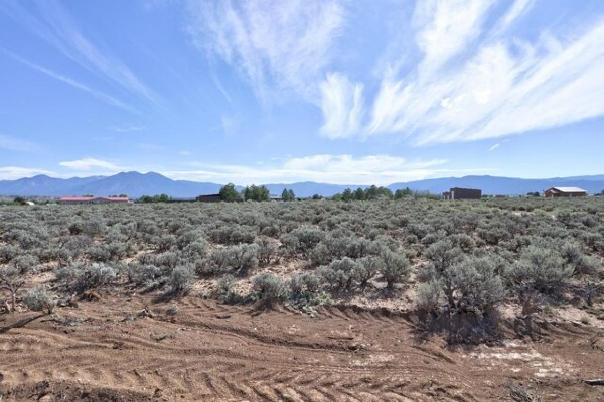 Picture of Home For Sale in Ranchos de Taos, New Mexico, United States