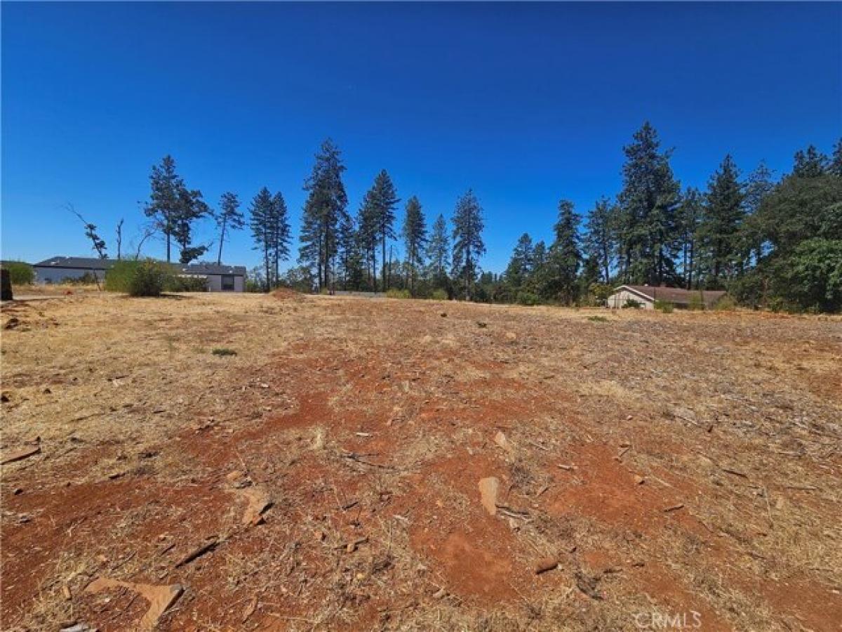 Picture of Residential Land For Sale in Paradise, California, United States