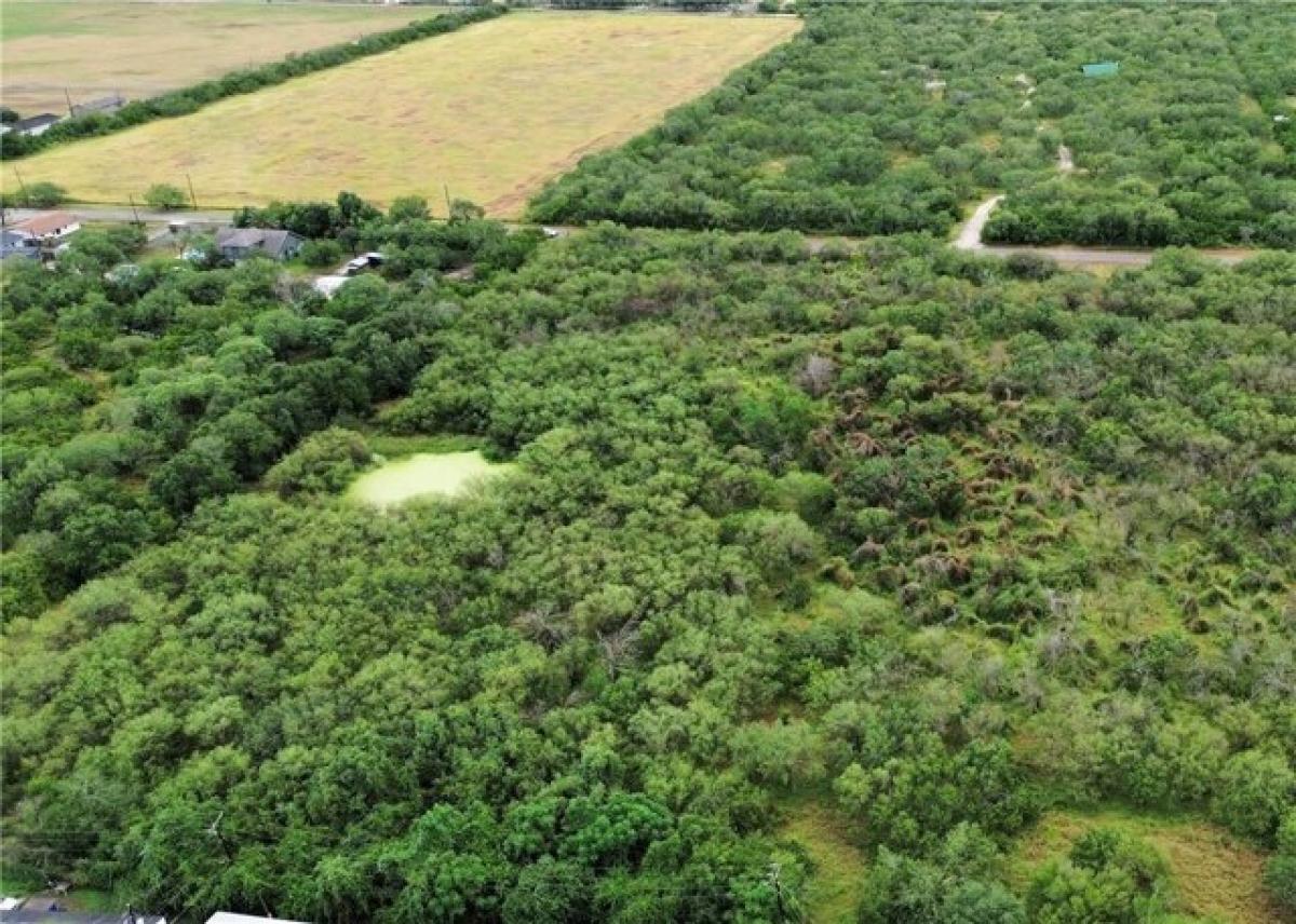 Picture of Residential Land For Sale in Kingsville, Texas, United States