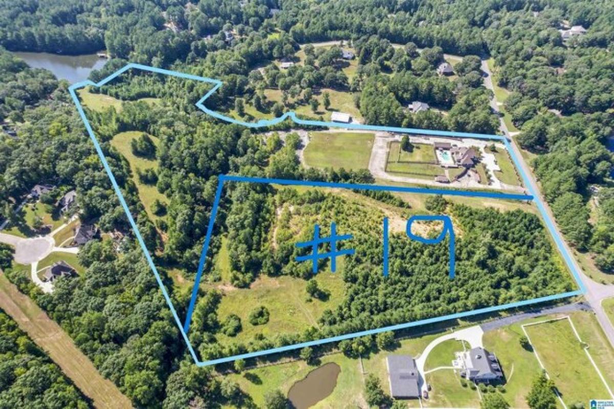 Picture of Residential Land For Sale in Chelsea, Alabama, United States