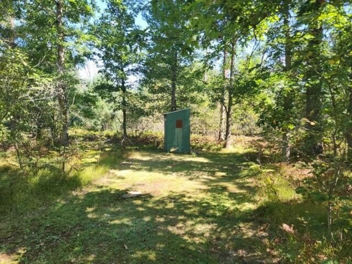 Picture of Home For Sale in Baldwin, Michigan, United States