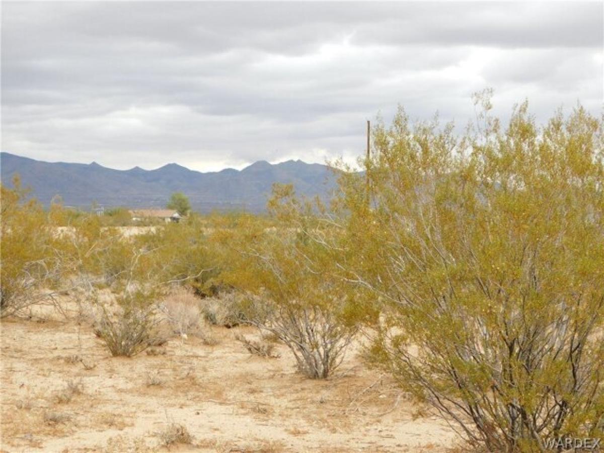 Picture of Residential Land For Sale in Golden Valley, Arizona, United States