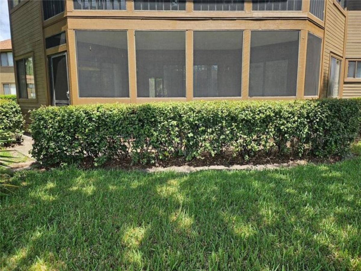 Picture of Home For Rent in Palm Coast, Florida, United States