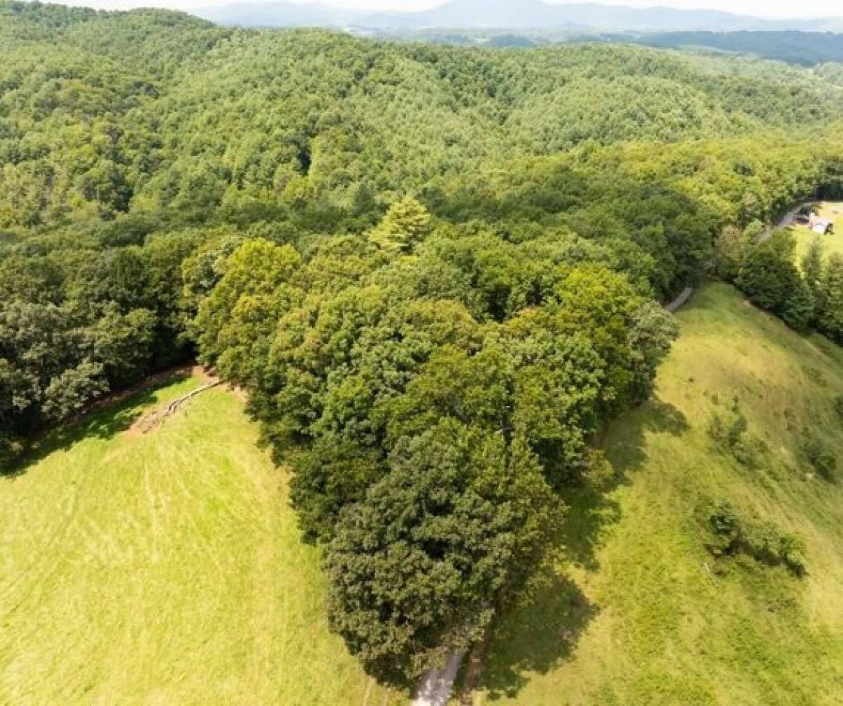 Picture of Residential Land For Sale in Galax, Virginia, United States