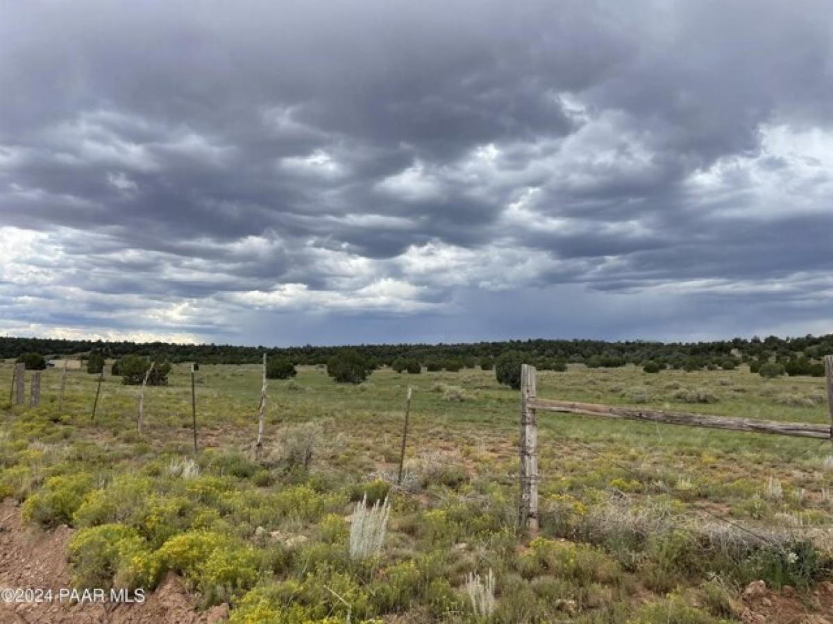 Picture of Home For Sale in Seligman, Arizona, United States