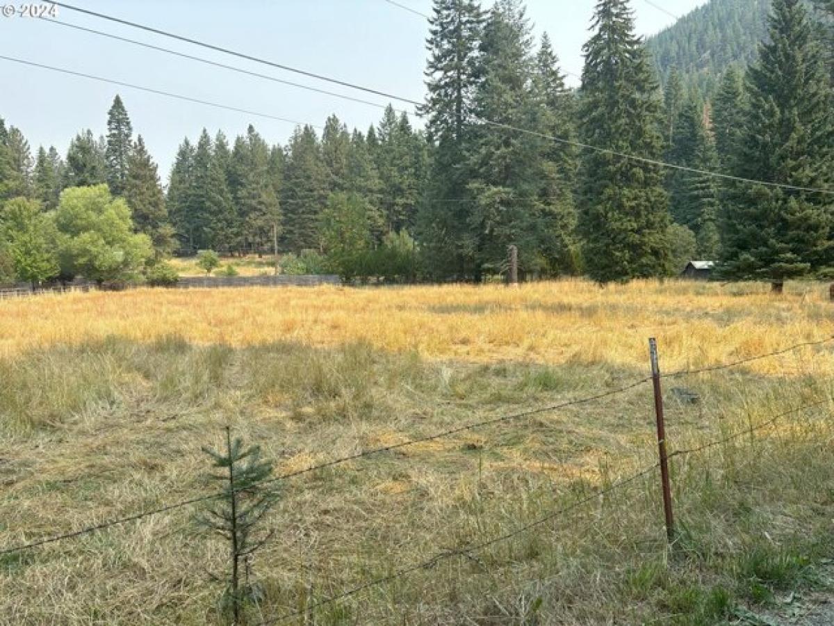 Picture of Residential Land For Sale in Joseph, Oregon, United States