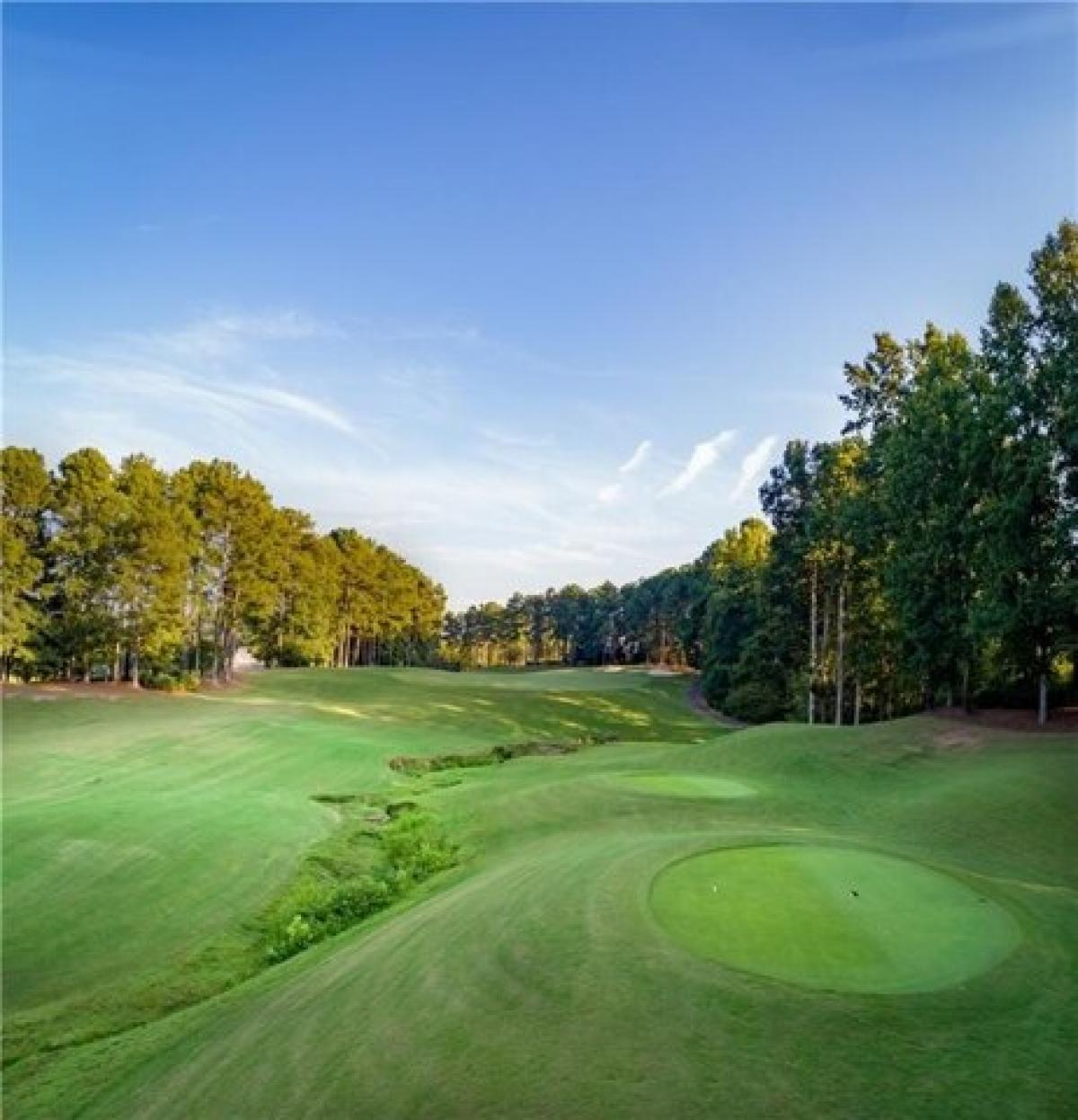 Picture of Residential Land For Sale in Ball Ground, Georgia, United States