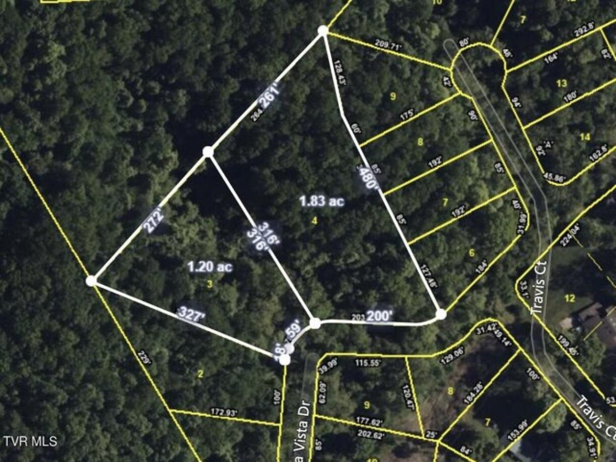 Picture of Residential Land For Sale in Bristol, Tennessee, United States