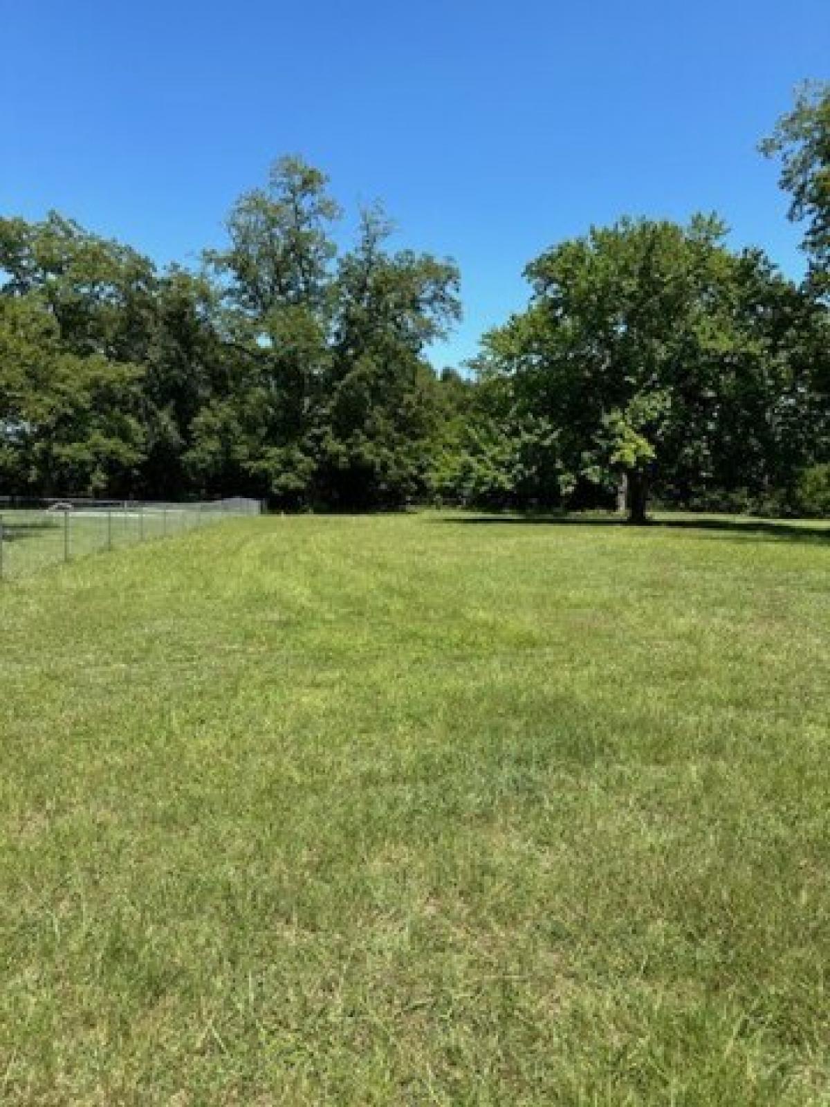 Picture of Residential Land For Sale in Midland City, Alabama, United States