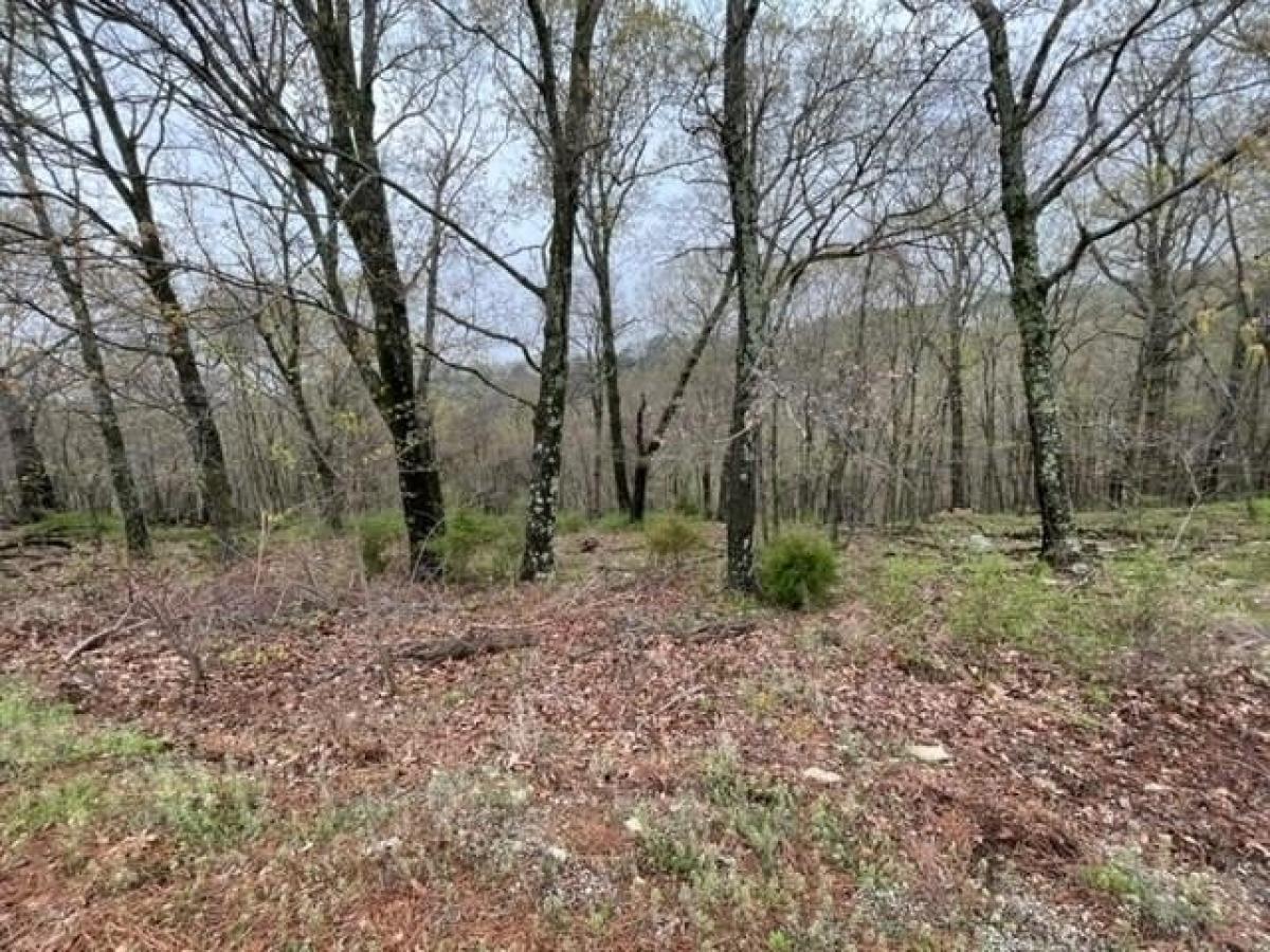 Picture of Residential Land For Rent in Holiday Island, Arkansas, United States