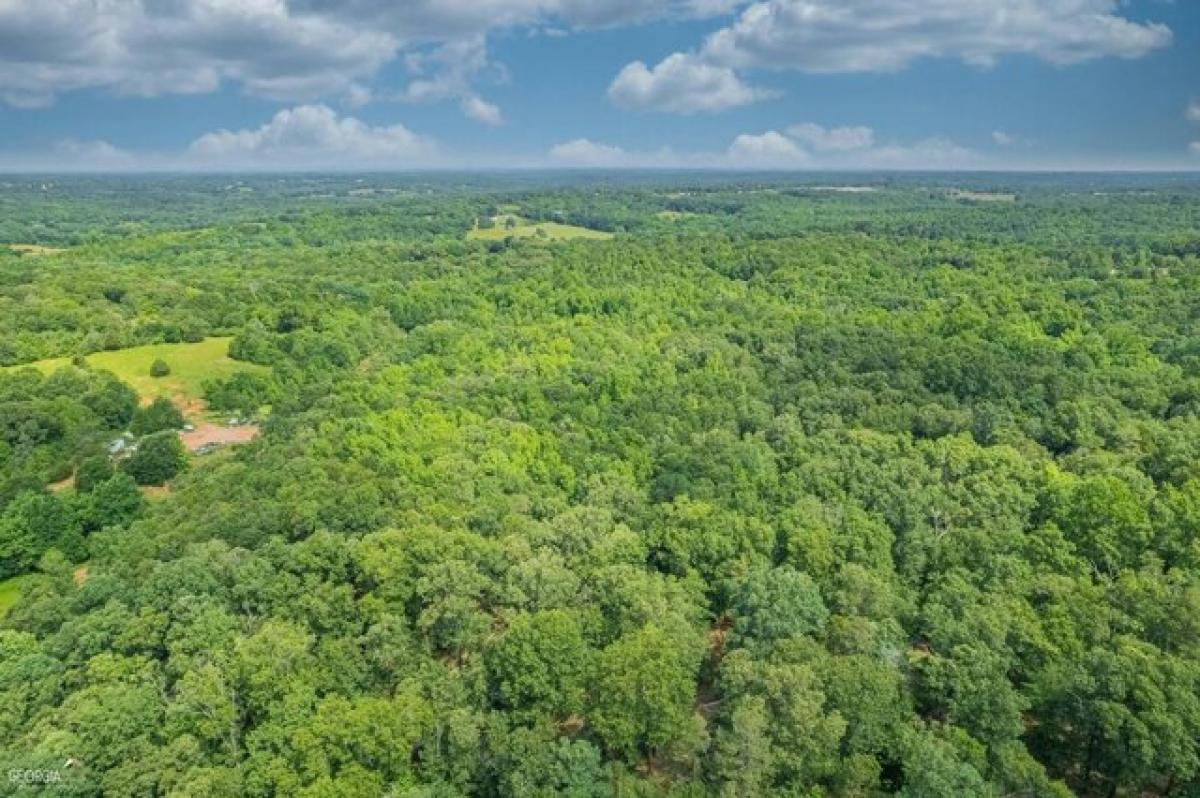 Picture of Residential Land For Sale in Royston, Georgia, United States