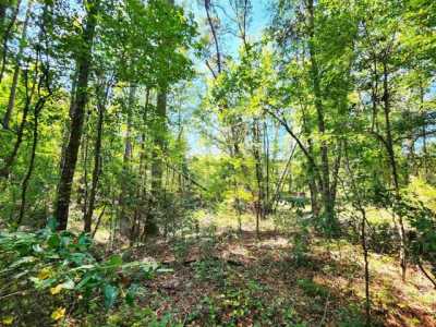 Residential Land For Sale in Bronson, Texas