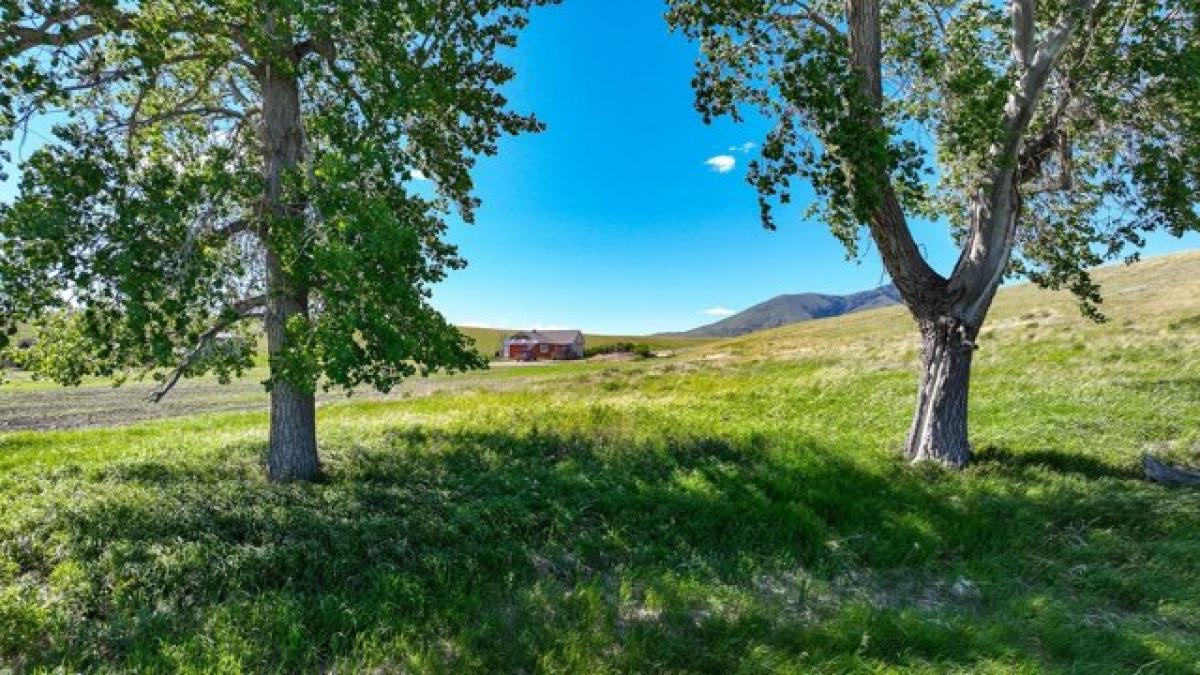 Picture of Residential Land For Sale in Chester, Montana, United States