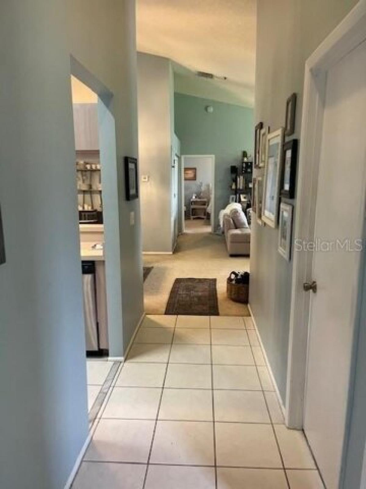 Picture of Home For Rent in Temple Terrace, Florida, United States