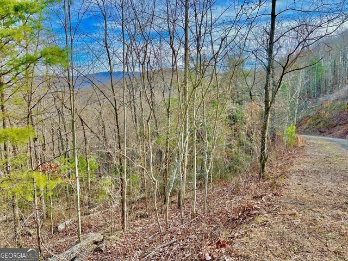 Picture of Residential Land For Sale in Ellijay, Georgia, United States