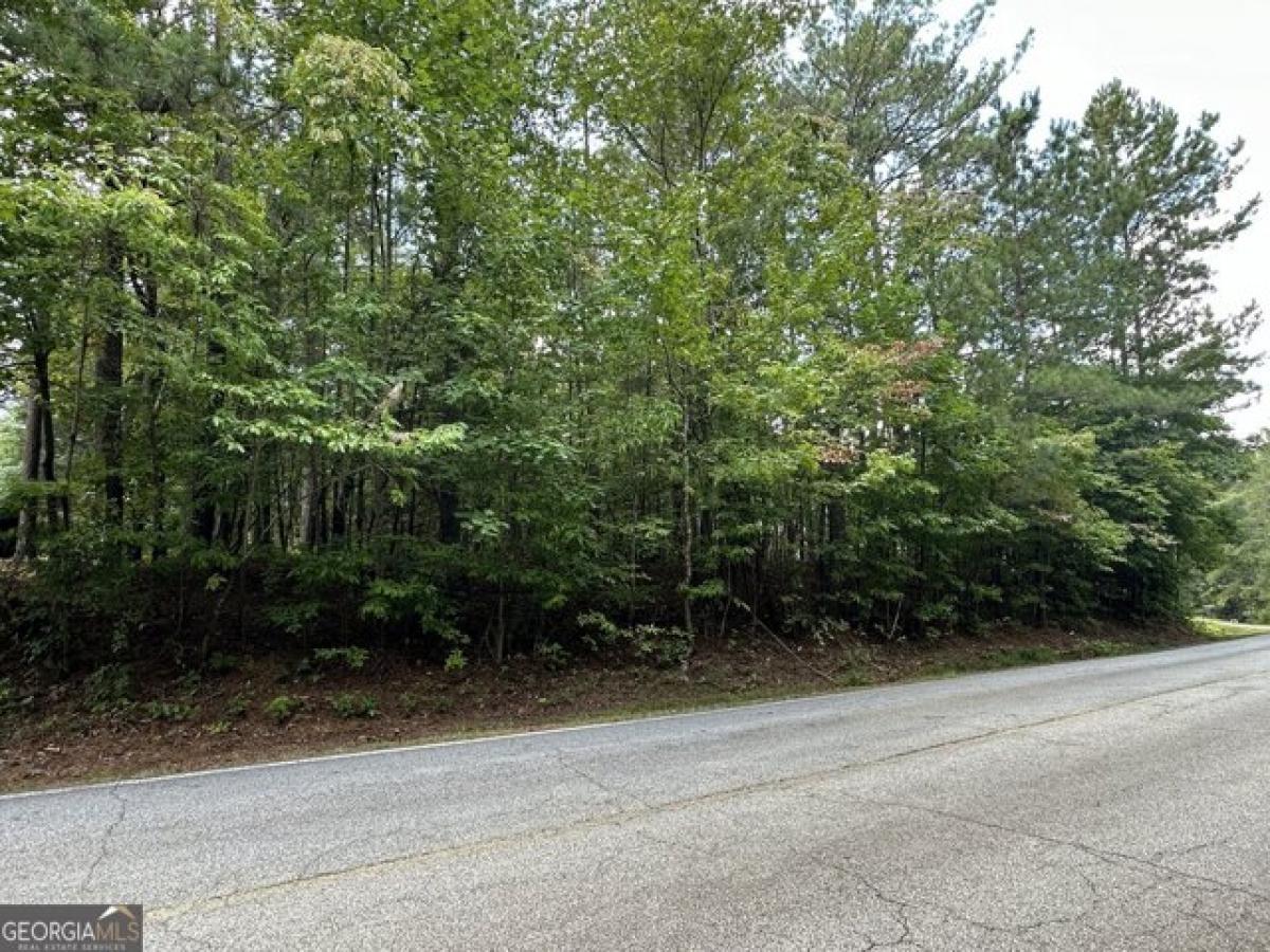 Picture of Residential Land For Sale in Villa Rica, Georgia, United States