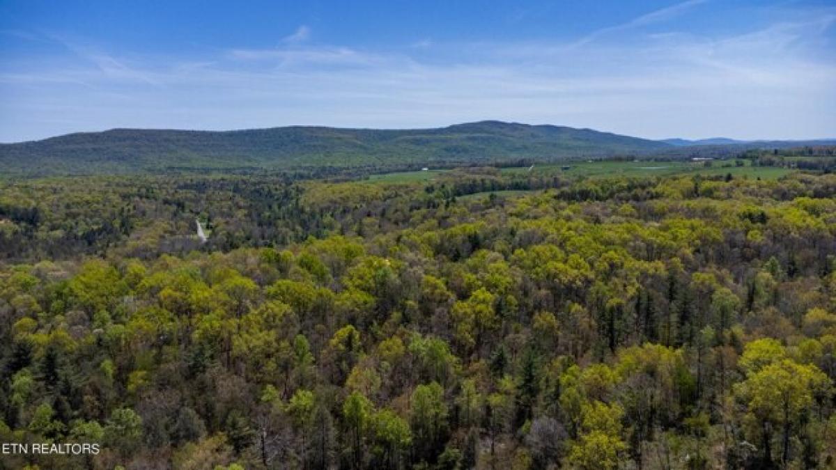 Picture of Residential Land For Sale in Crossville, Tennessee, United States