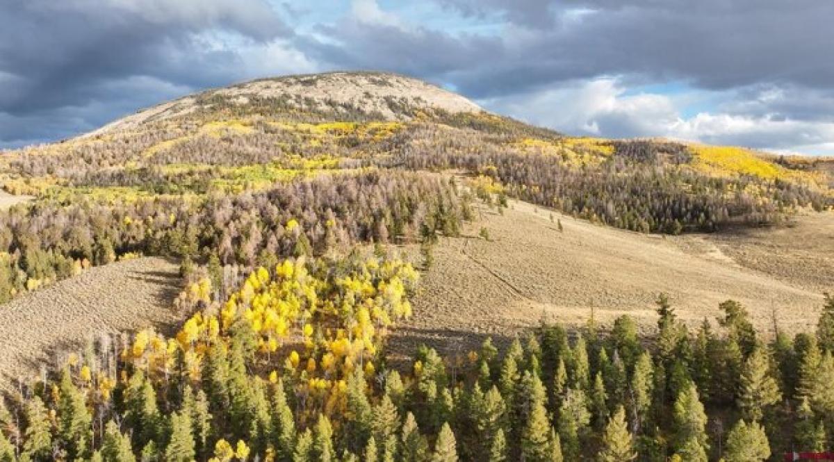 Picture of Residential Land For Sale in Gunnison, Colorado, United States