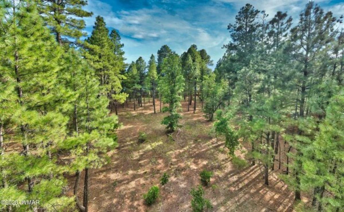 Picture of Residential Land For Sale in Show Low, Arizona, United States