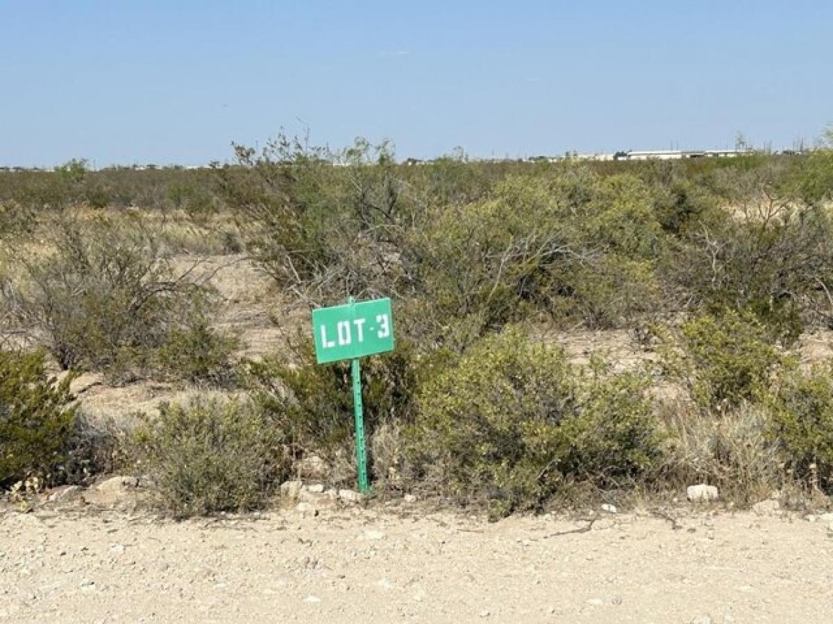 Picture of Residential Land For Sale in Odessa, Texas, United States