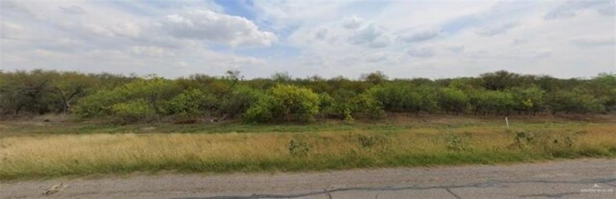 Picture of Residential Land For Sale in Edinburg, Texas, United States