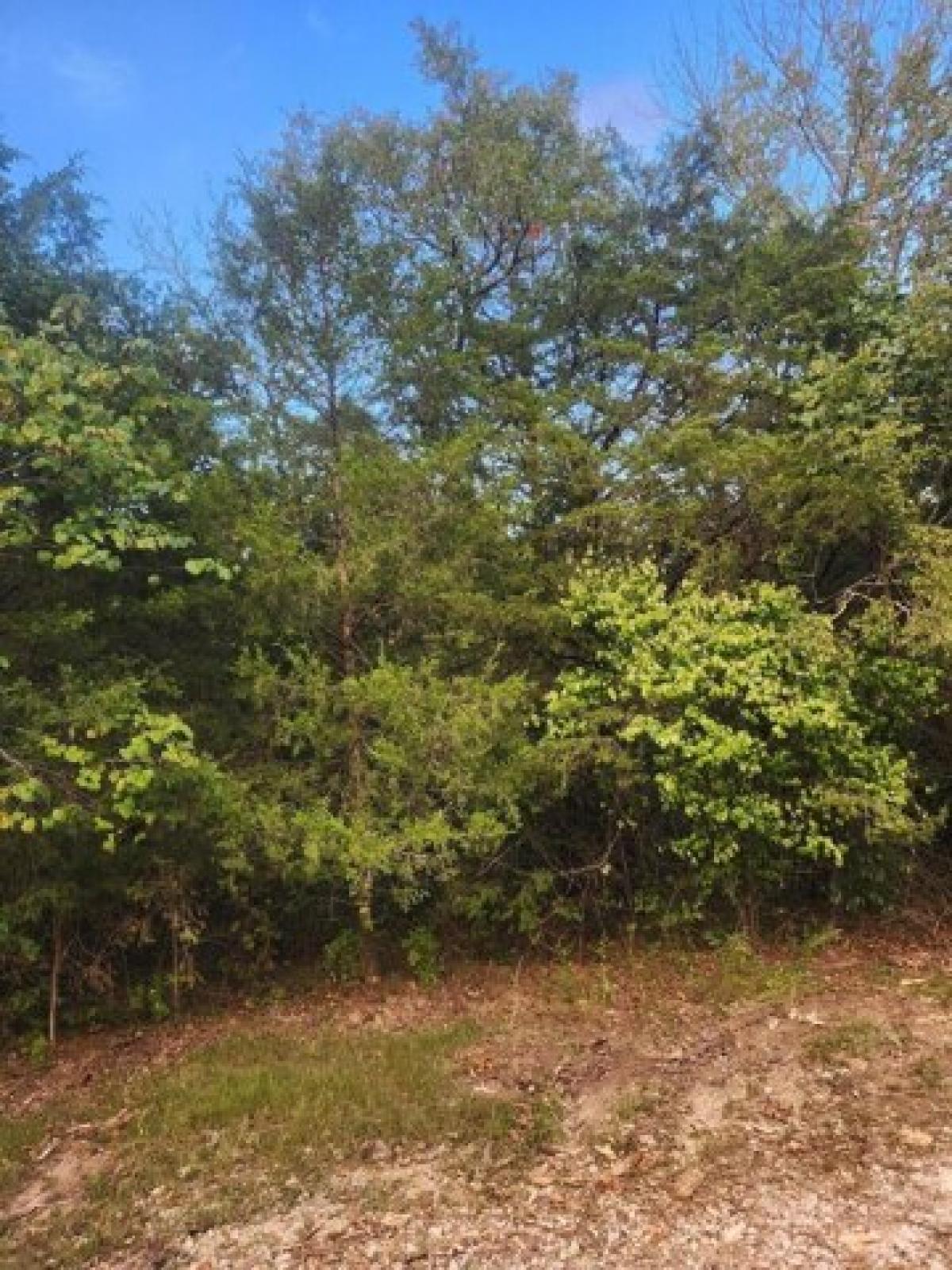 Picture of Residential Land For Rent in Shell Knob, Missouri, United States