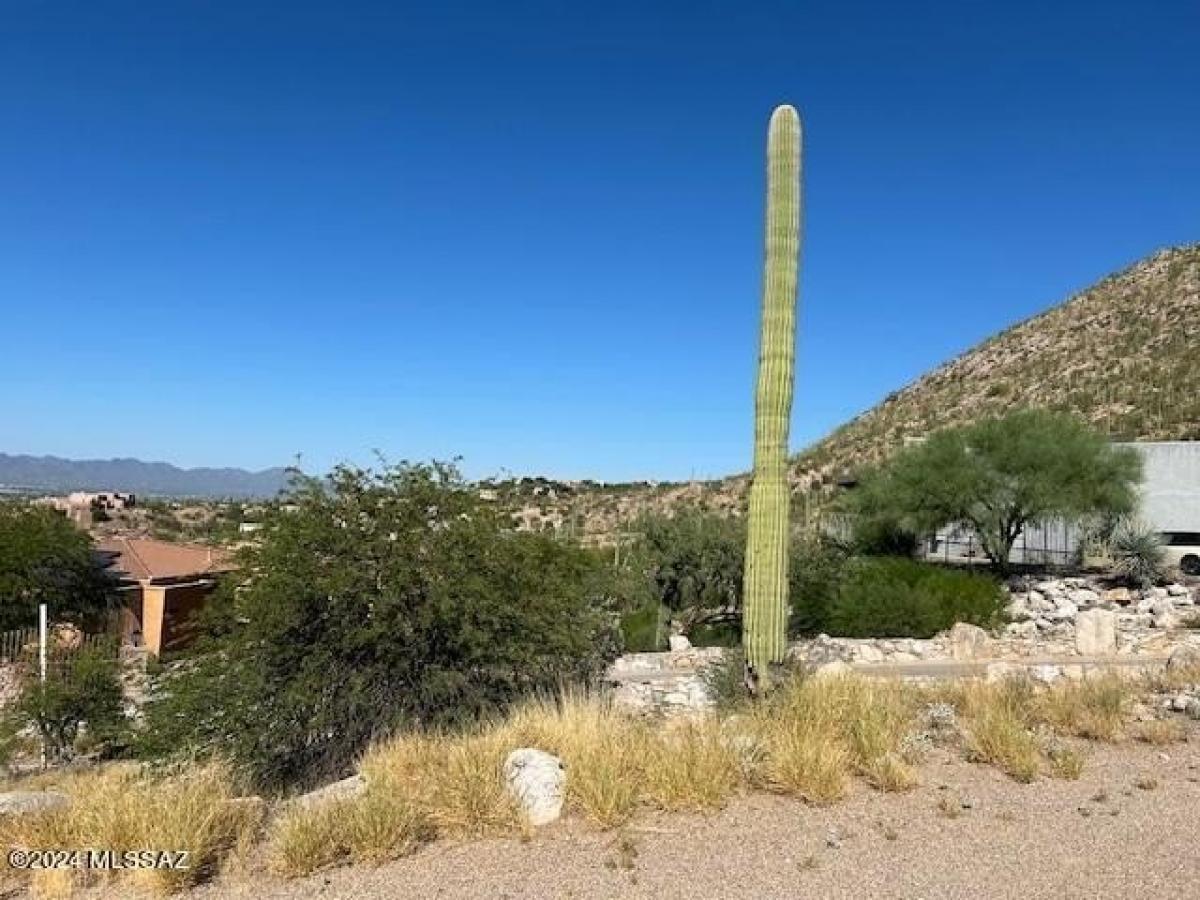 Picture of Residential Land For Sale in Tucson, Arizona, United States