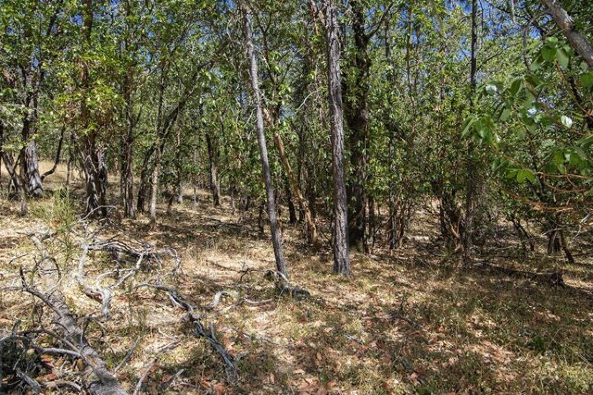 Picture of Residential Land For Sale in Grants Pass, Oregon, United States