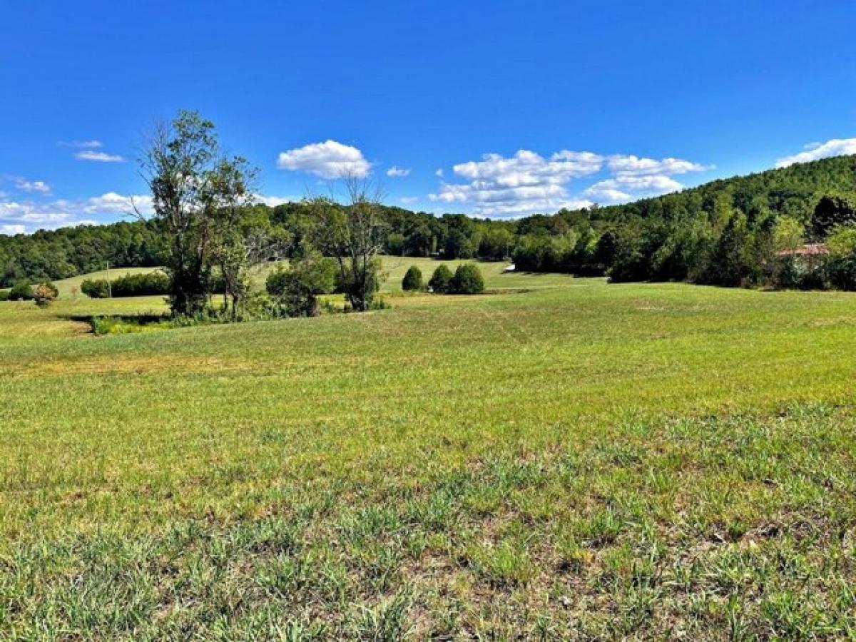 Picture of Residential Land For Sale in Decatur, Tennessee, United States