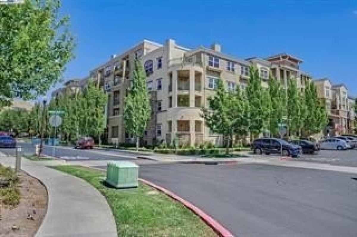 Picture of Apartment For Rent in Fremont, California, United States