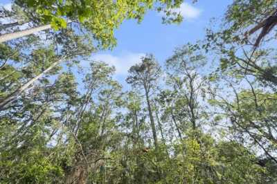 Residential Land For Sale in Conroe, Texas