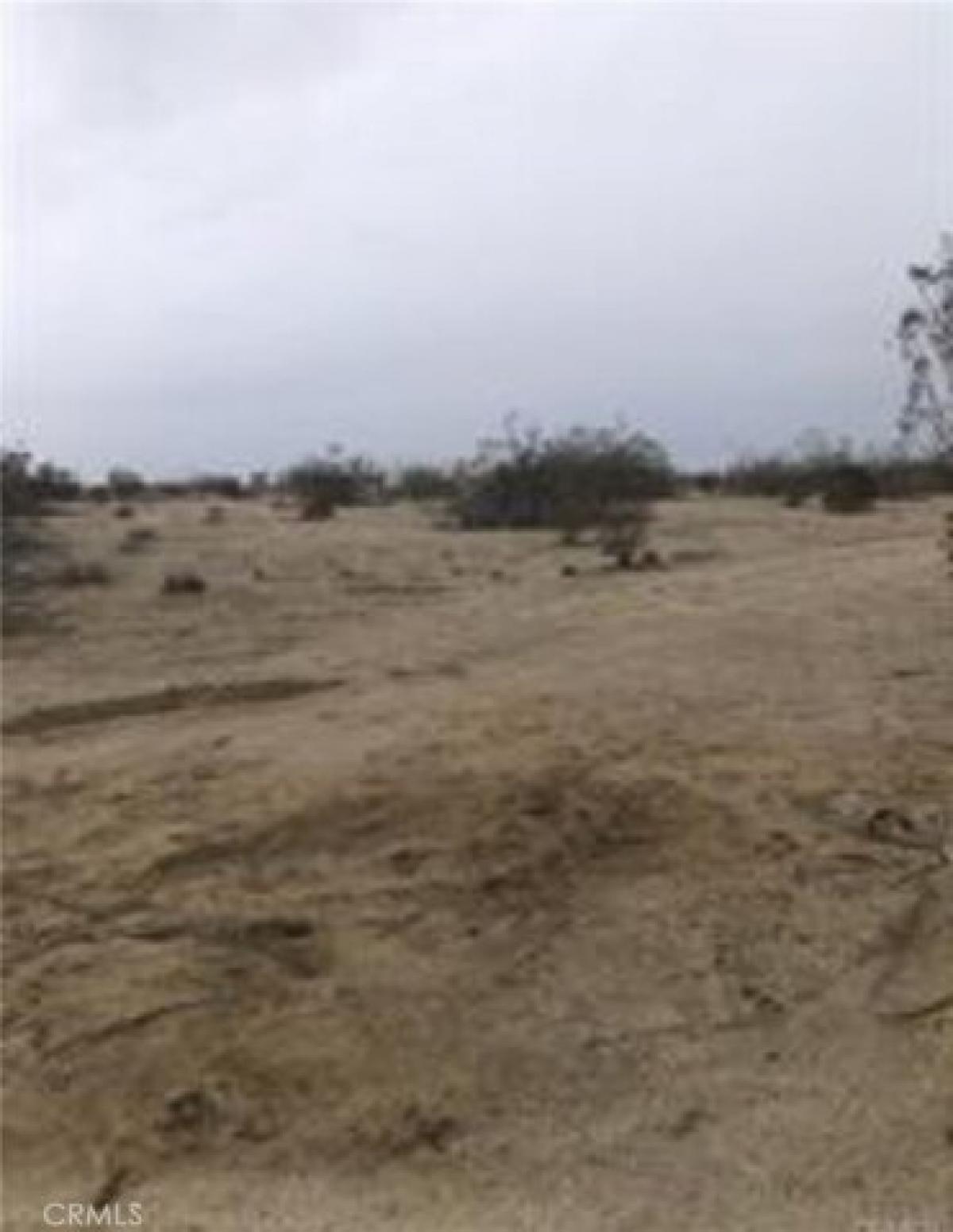 Picture of Residential Land For Sale in Phelan, California, United States