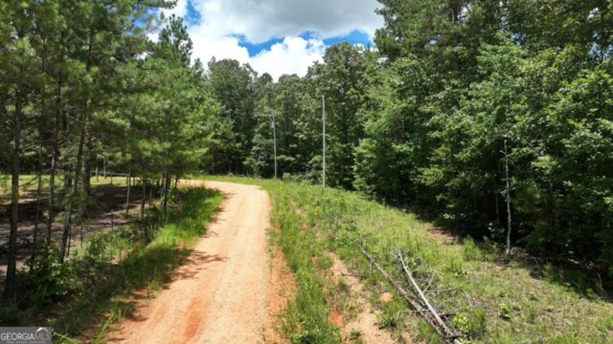 Picture of Residential Land For Sale in Heflin, Alabama, United States