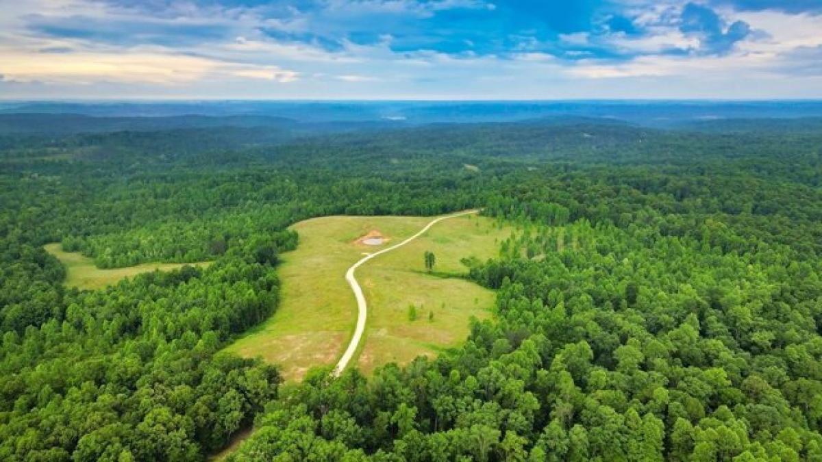 Picture of Residential Land For Sale in Indian Mound, Tennessee, United States