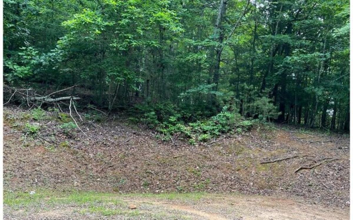 Picture of Residential Land For Sale in Morganton, Georgia, United States