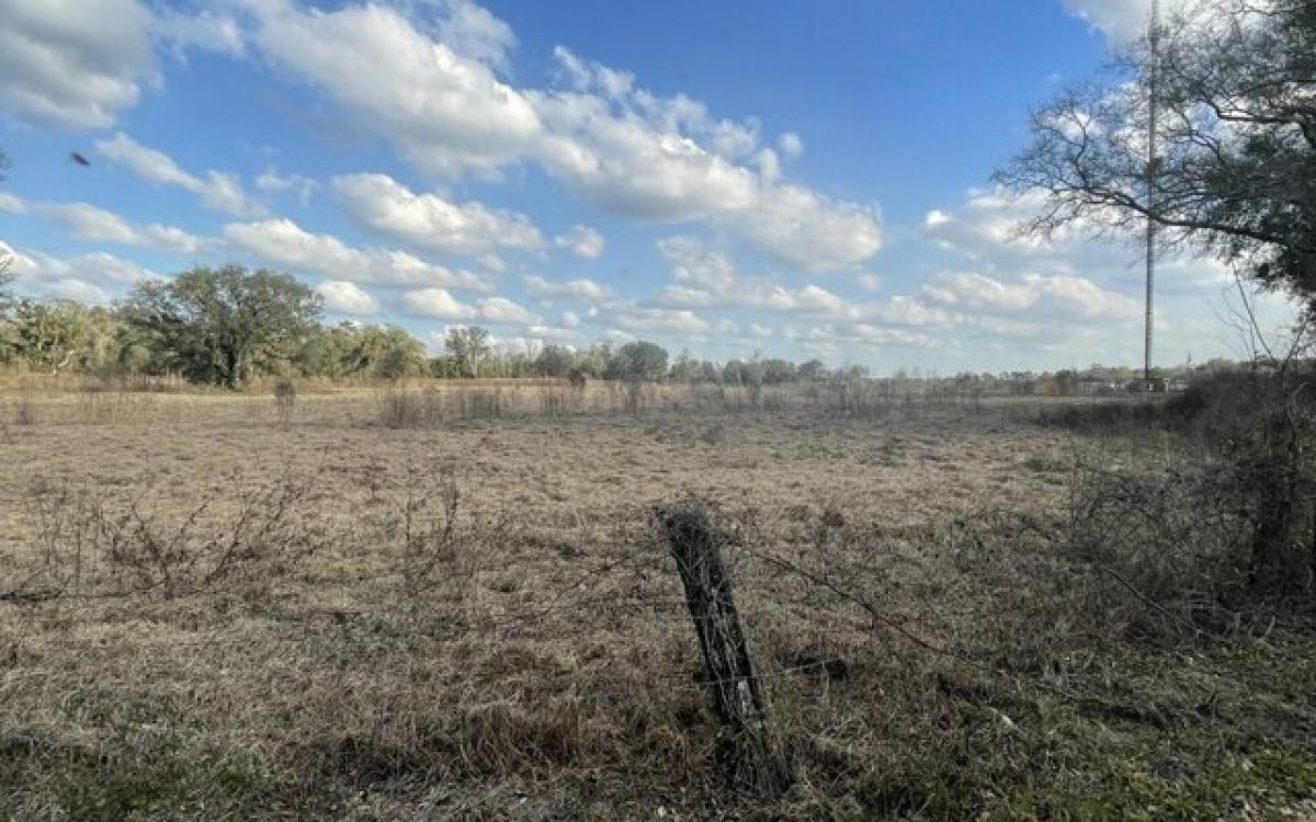 Picture of Home For Sale in Mayo, Florida, United States