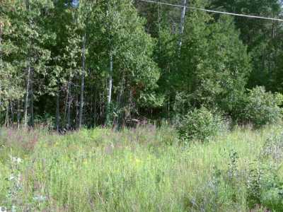 Residential Land For Sale in Tawas City, Michigan