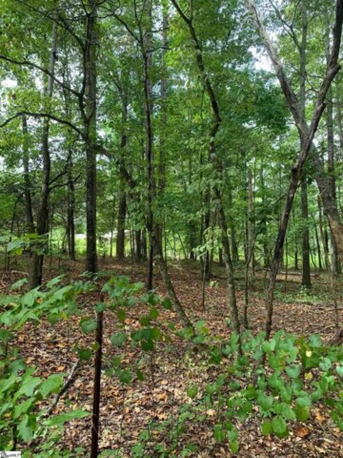 Picture of Residential Land For Sale in Greenville, South Carolina, United States