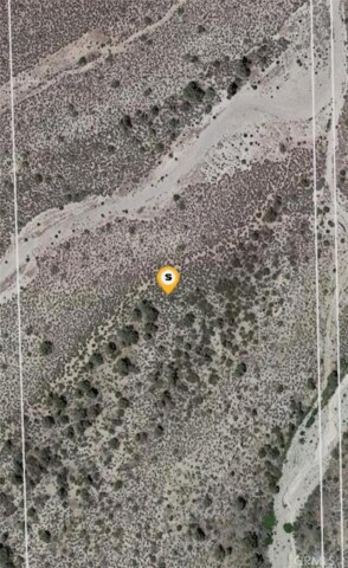 Picture of Residential Land For Sale in Lucerne Valley, California, United States