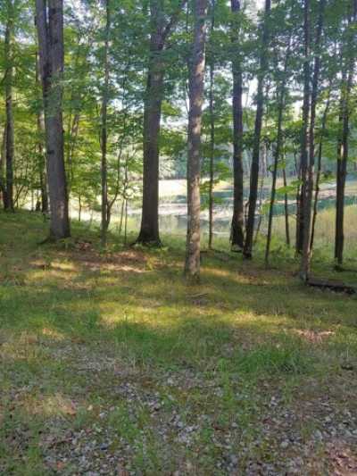 Residential Land For Sale in Farwell, Michigan