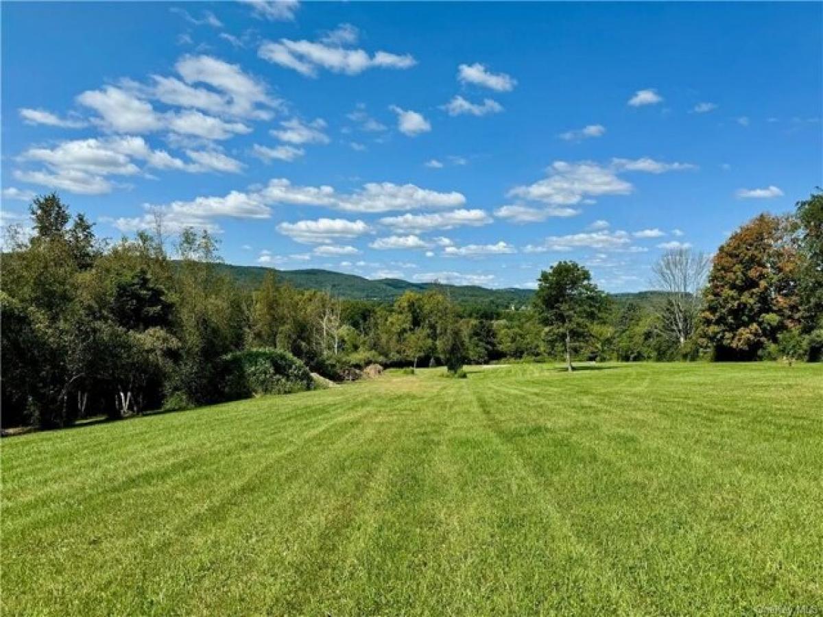 Picture of Residential Land For Sale in Amenia, New York, United States