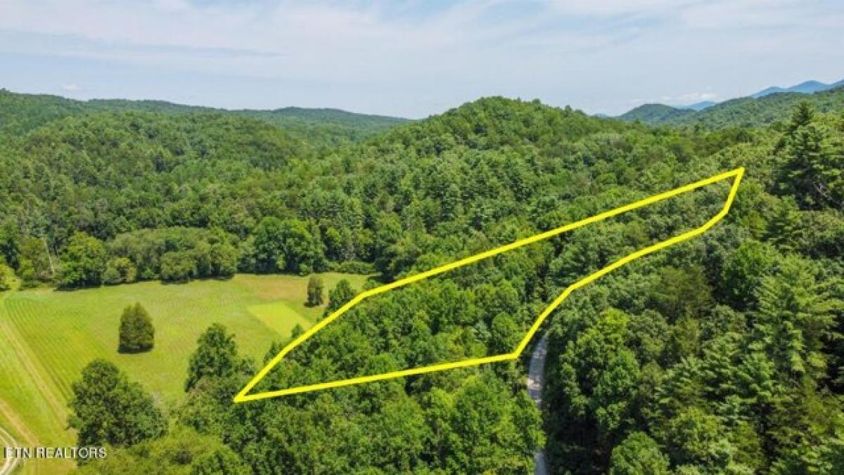 Picture of Residential Land For Sale in Tellico Plains, Tennessee, United States