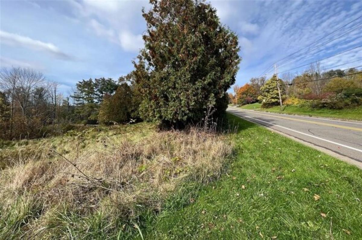 Picture of Residential Land For Sale in Endicott, New York, United States